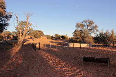 Water for the farm animals mostly sheep and goats.
