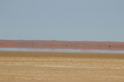 A mirage on Koppieskraal pan.