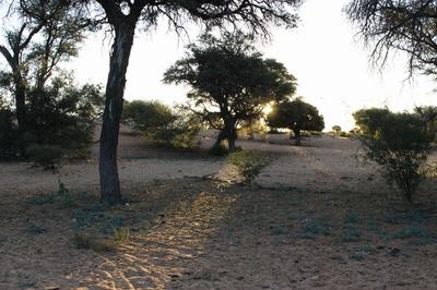Sunrise on Leeupan guestfarm.