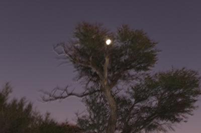 An eary sight before sunrise at 4.30 in the morning.An old water pump of eysteryear.