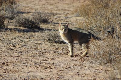 Whose looking at who.