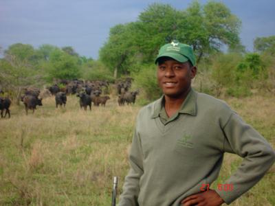 Dingaan in front of the buffalo herd
