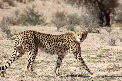 What are you looking at!?