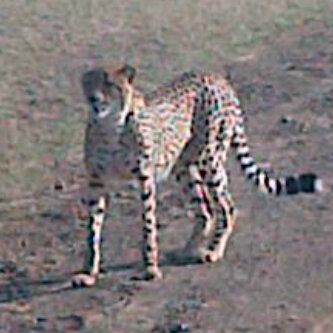 Up close and personal.