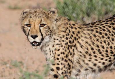 Here's looking at you