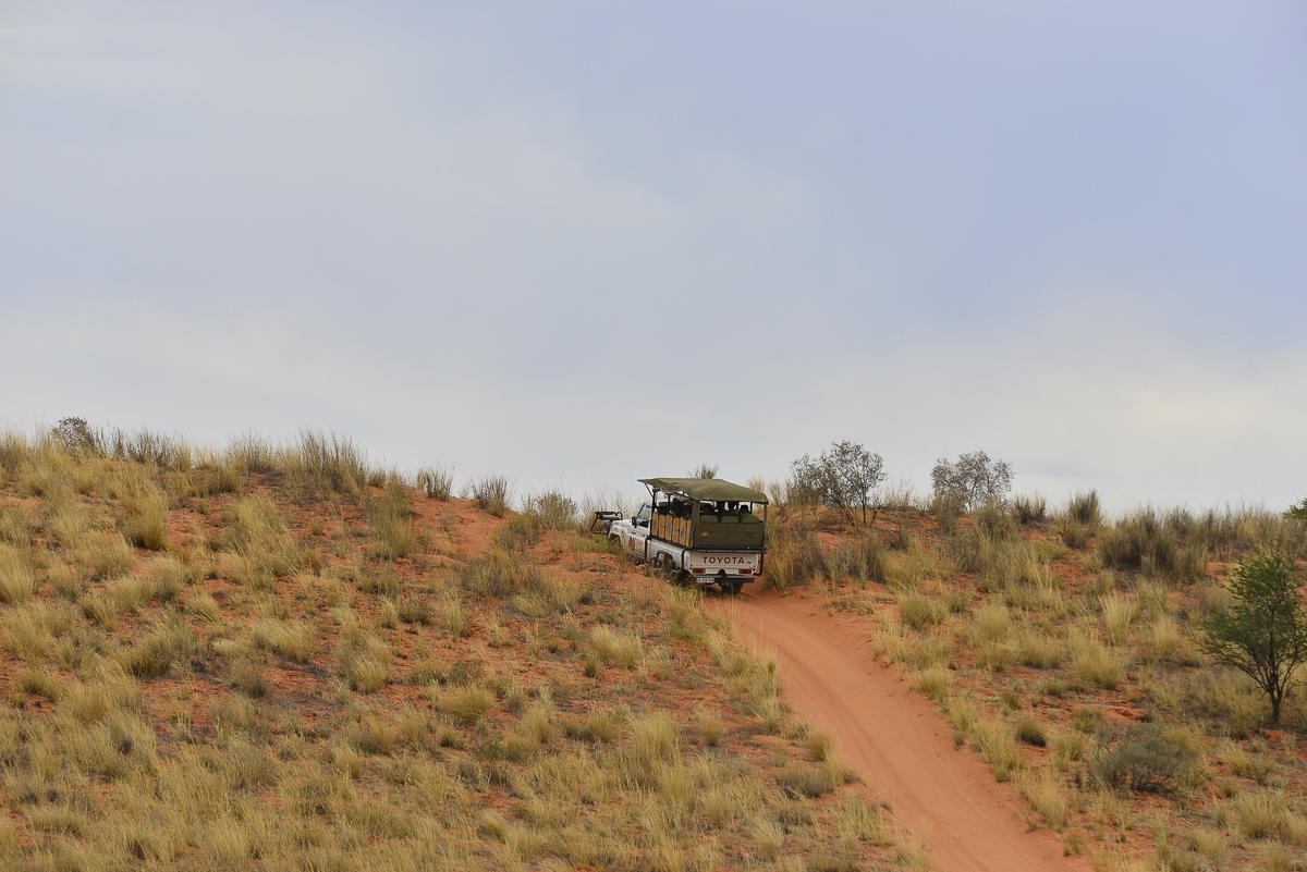 The drive to !Xaus Lodge in the Kalahari