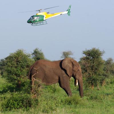 Helicopter hovering above Duke
