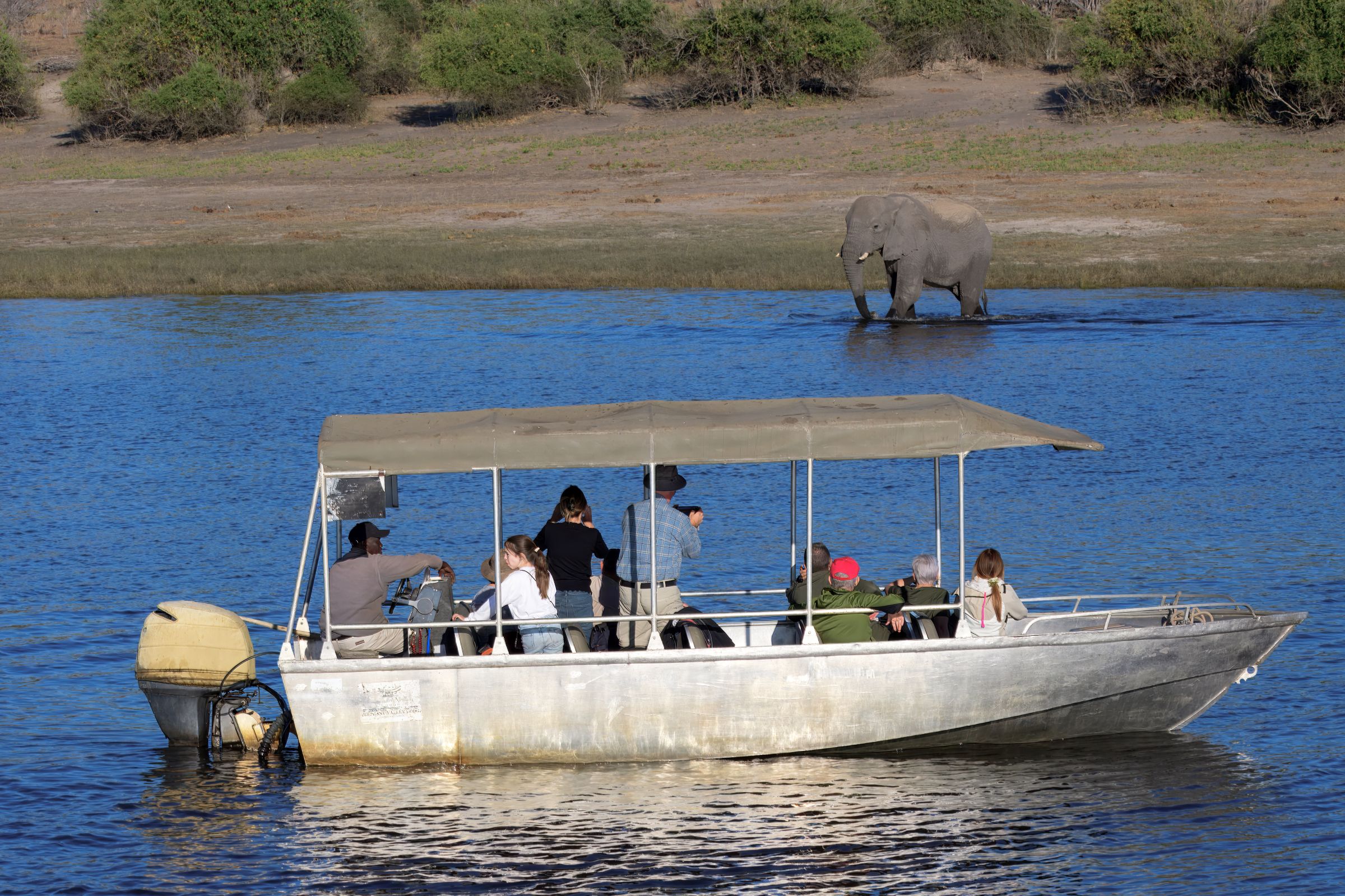 Photographing Elephant from the boat on the Chobe River