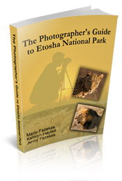 Photographer's Guide to Etosha