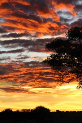 Etosha sunset