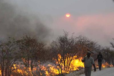 Park employees fight fire