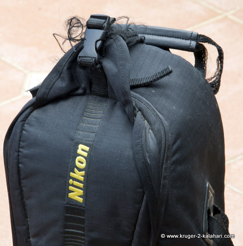 Top 154+ nikon camera bag canada best - esthdonghoadian