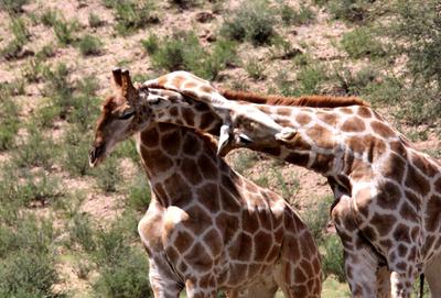 They're not playing nice