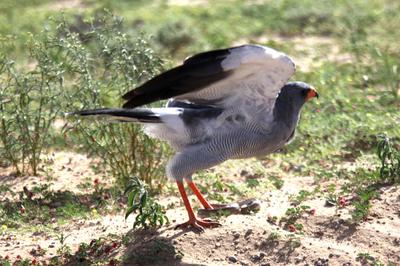 I like privacy when eating