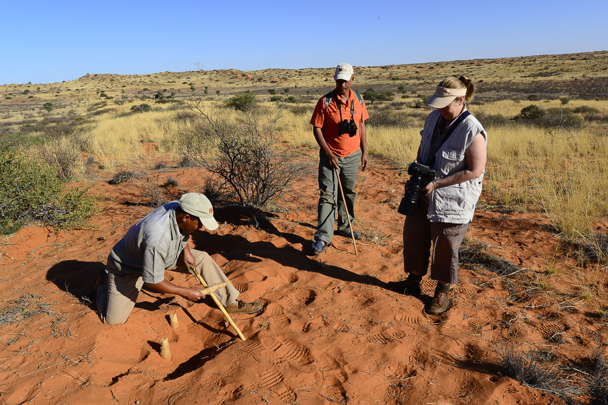 Our guided walk at !Xaus Lodge