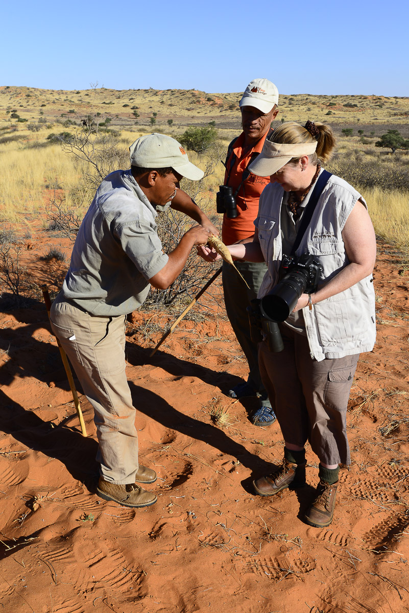 Guided bush walk at !Xaus Lodge