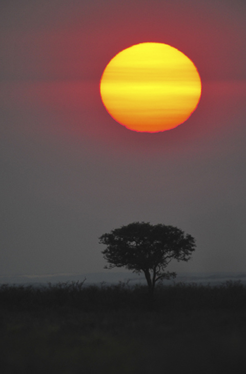sunrise near halali camp sunrise near halali camp