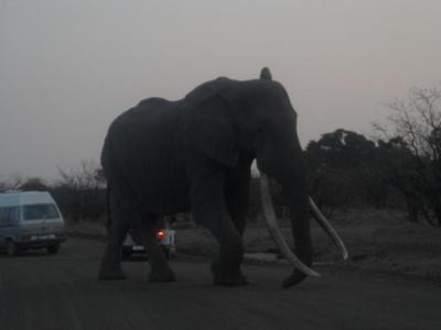 Moving on after resting 