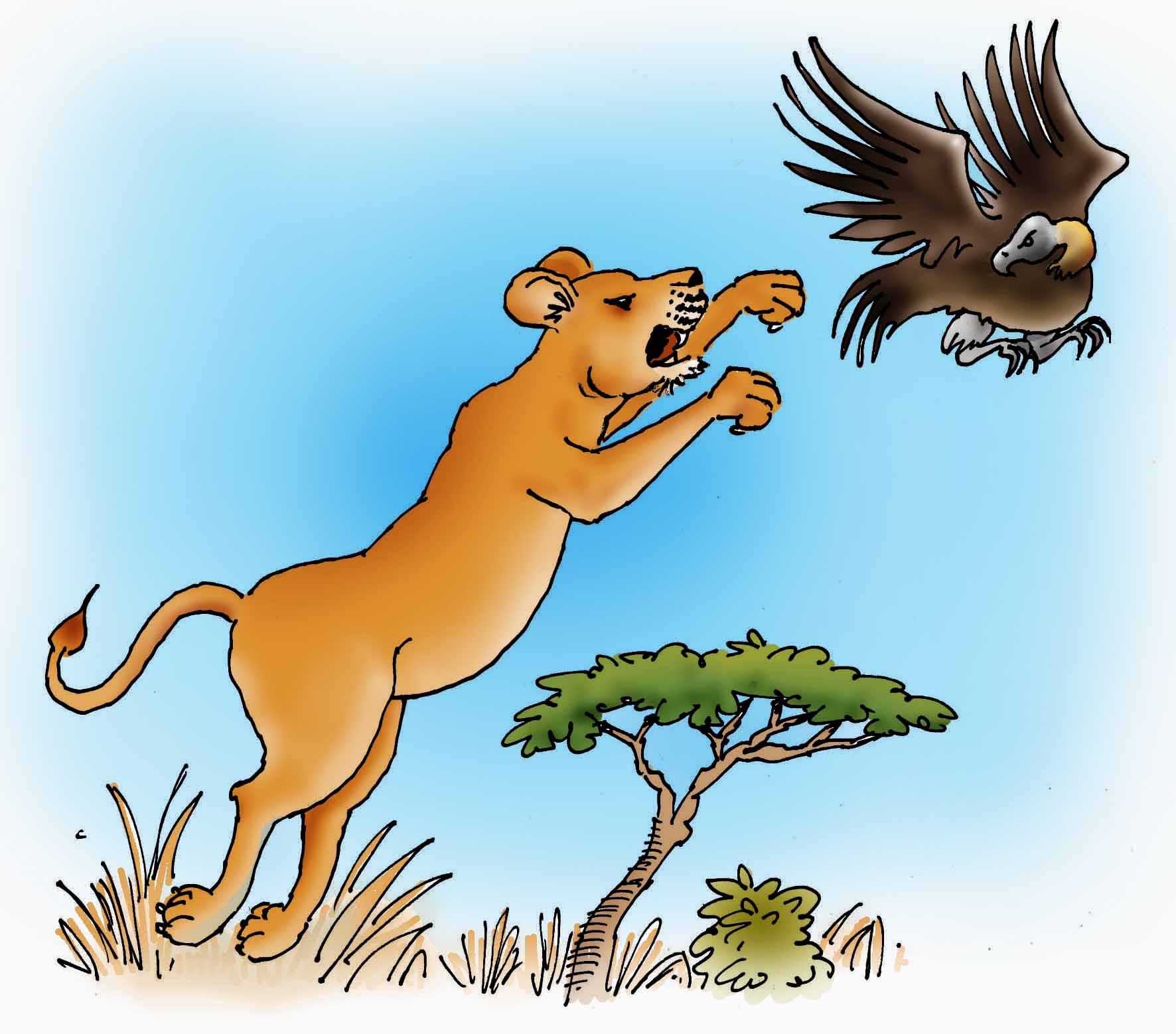 Lioness leaping up to catch a vulture in Kruger Park