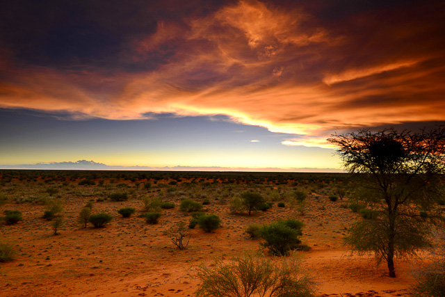 Kalahari Anib Lodge - view from dune over park at sunset