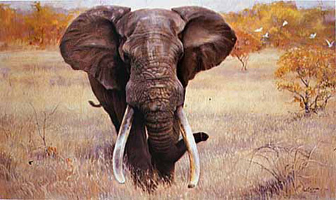 Magnificent Seven  - kambaku Magnificent Seven  - kambaku