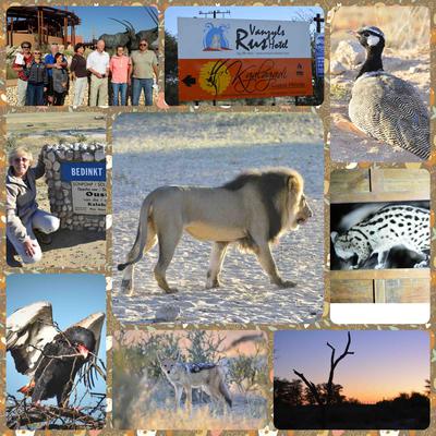 Kgalagadi 2015 collage