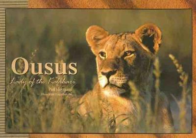 OUSUS - The Kalahari Lion