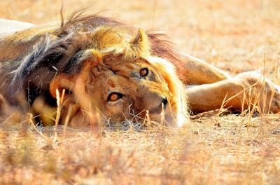 I'm watching you.....