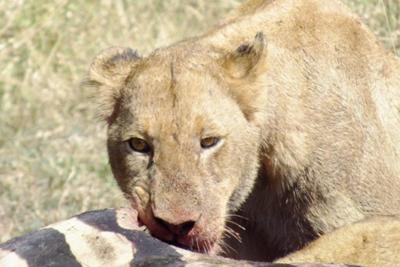 Be aware at all time,I'm watching you.