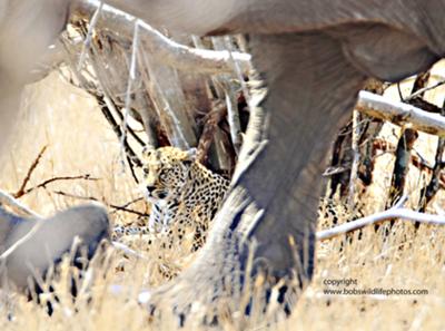 Not sure I should be here