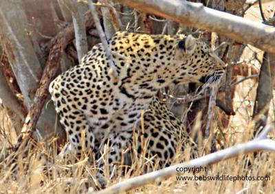 Time to get out of here!