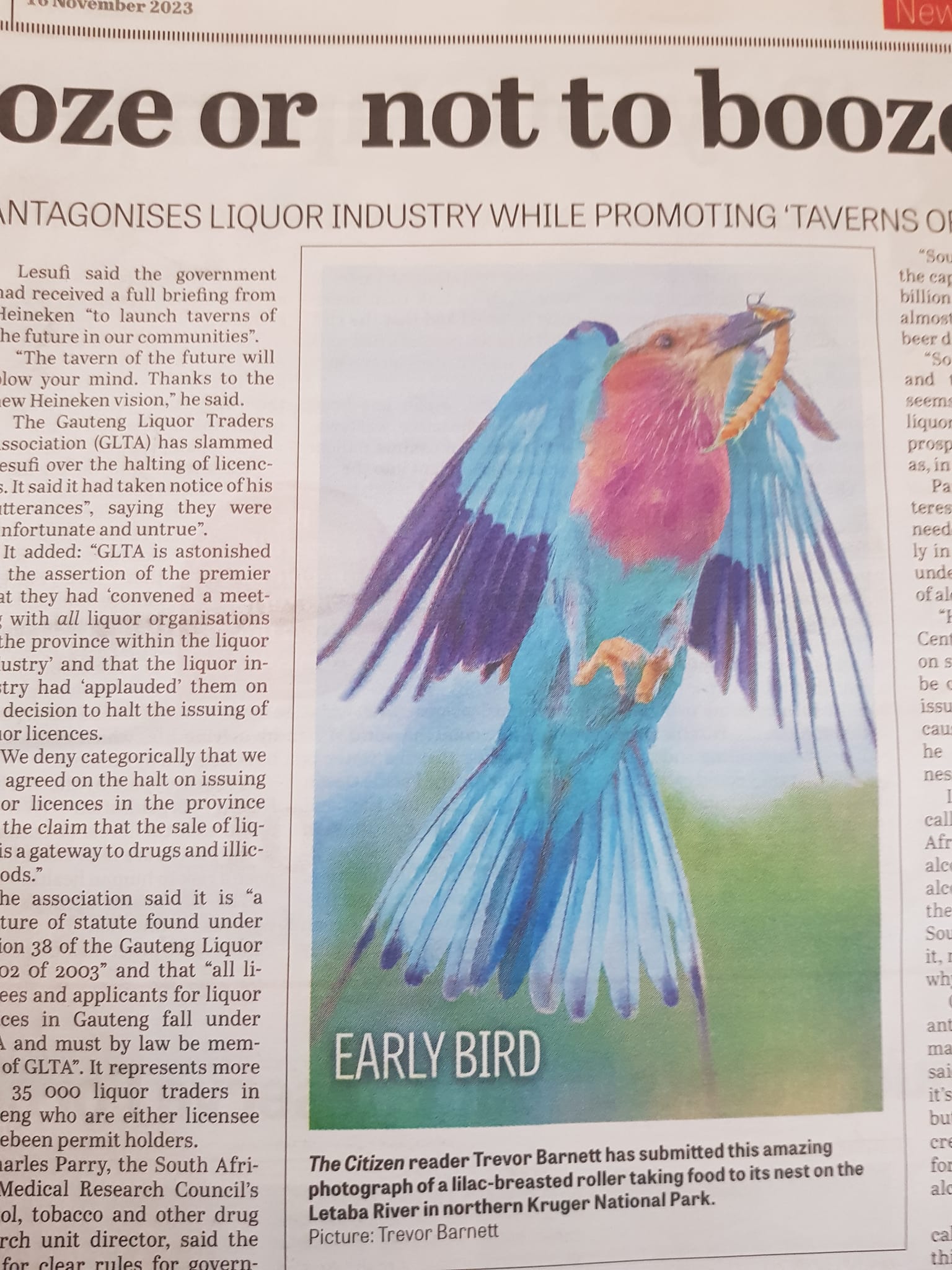 lilac breasted roller with centipede in Citizen newspaper