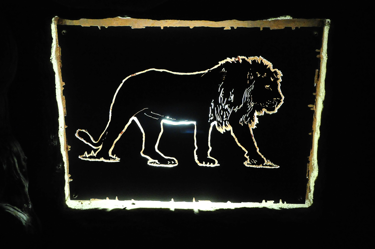 Lion light near Okaukuejo waterhole