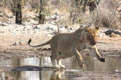 I'm not getting my feet wet