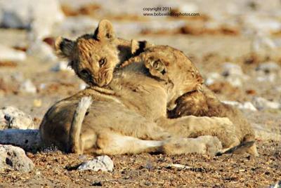 Mutually assured destruction