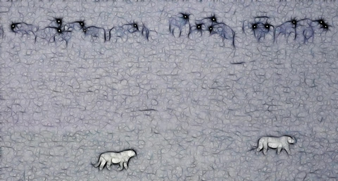 Lions walking past wildebeest at night