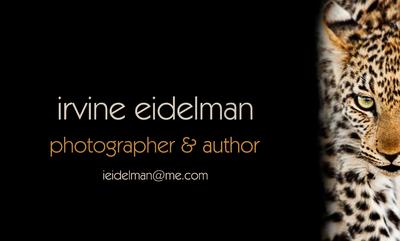 Irvine Eidelman - Calling Card