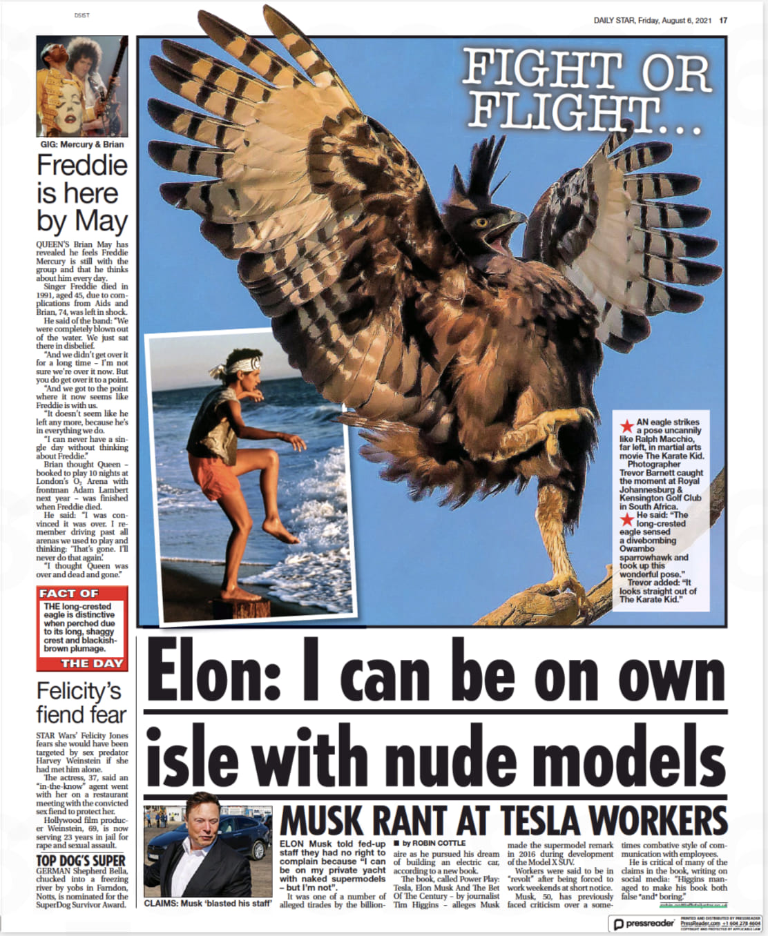 long-crested-eagle-bombed-by-sparrowhawk - Citizen newspaper