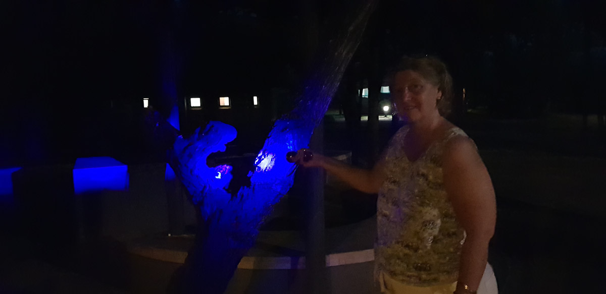 looking for scorpions in the mopane trees in Letaba