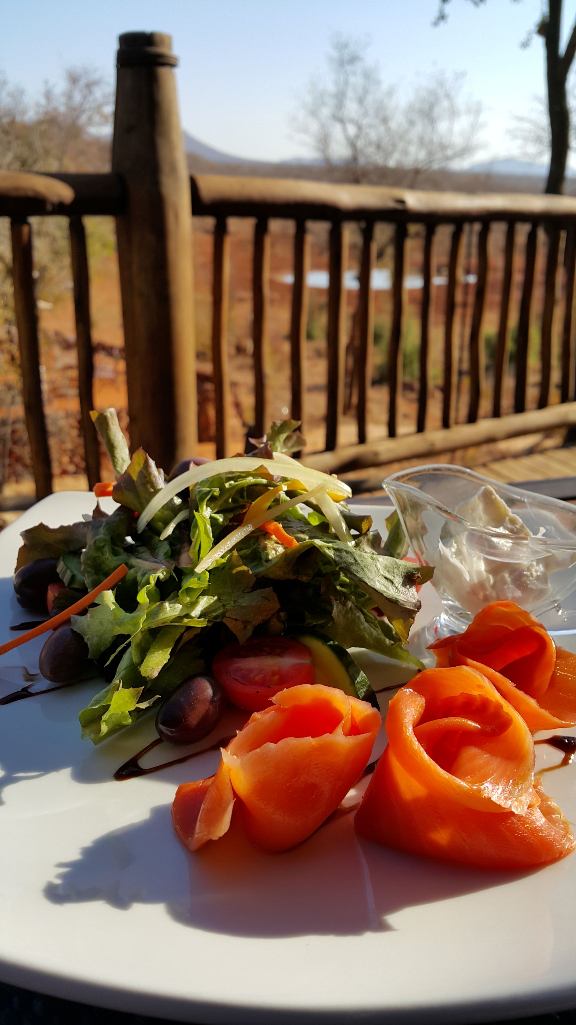 lunch on the deck at Etali Safari Lodge in Madikwe