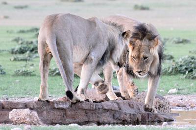 They both go out to the center