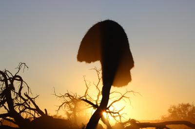 One more early morning.