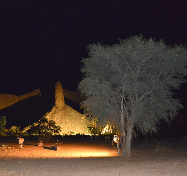 Flood-lit waterhole and dune