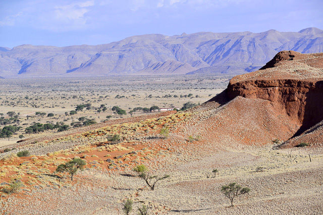 Namib Dune Lodge at the base of the petrified dunes