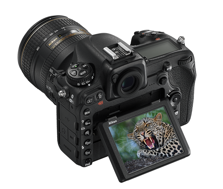 nikon d500 safari