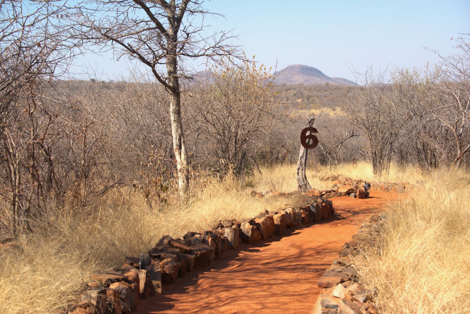 The pathway leading to our chalet at Buffalo Ridge Lodge in Madikwe
