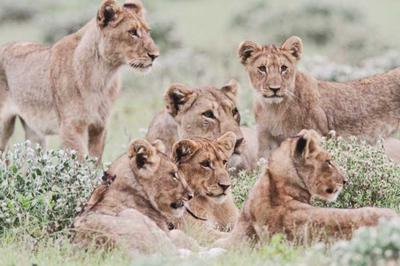 Family at least part of them