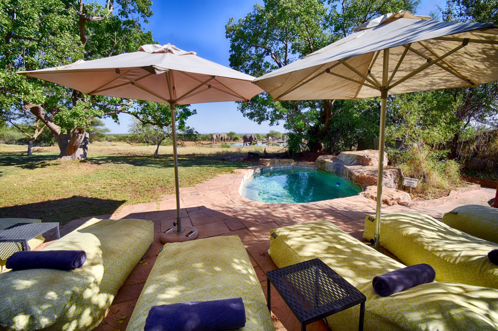 The pool area at Last Word Madikwe The pool area at Last Word Madikwe