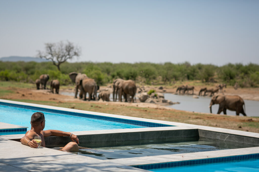 poolside safari at Jamala Madikwe poolside safari at Jamala Madikwe