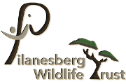 Pilanesberg Wildlife Trust
